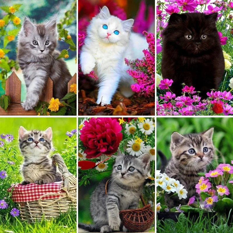 DIY 5D Diamond Painting Kits B - Resin Art Baby ulasan dan harga